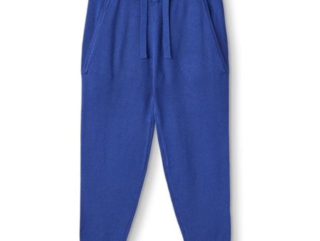 Fliink Mazerine Blue Favo Pants Online