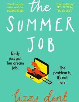 The Summer Job: A hilarious story about a lie that gets out of hand - soon to be a TV series For Discount